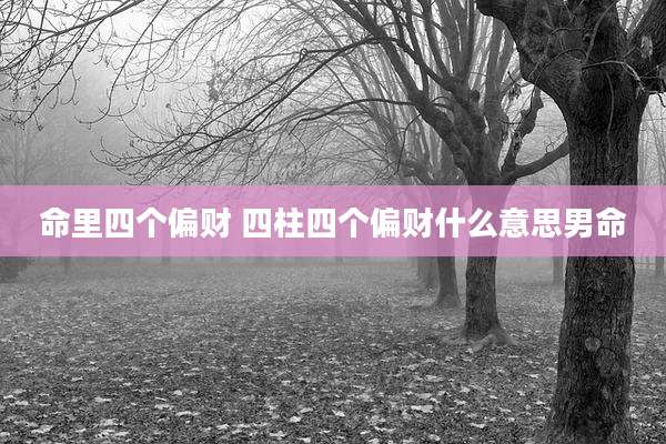 命里四个偏财 四柱四个偏财什么意思男命
