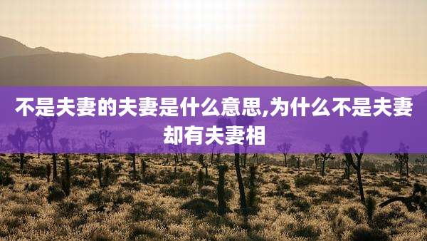 不是夫妻的夫妻是什么意思,为什么不是夫妻却有夫妻相