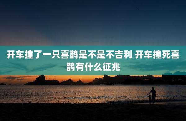 开车撞了一只喜鹊是不是不吉利 开车撞死喜鹊有什么征兆