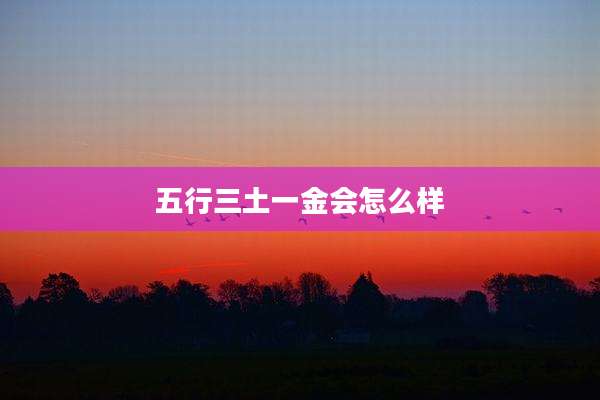 五行三土一金会怎么样