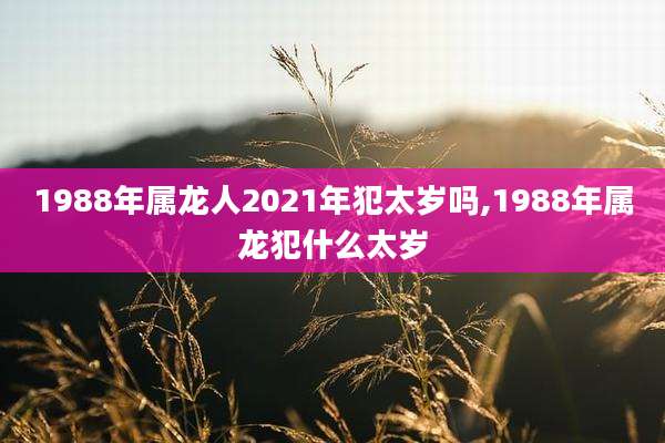 1988年属龙人2021年犯太岁吗,1988年属龙犯什么太岁