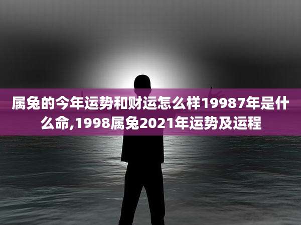 属兔的今年运势和财运怎么样19987年是什么命,1998属兔2021年运势及运程