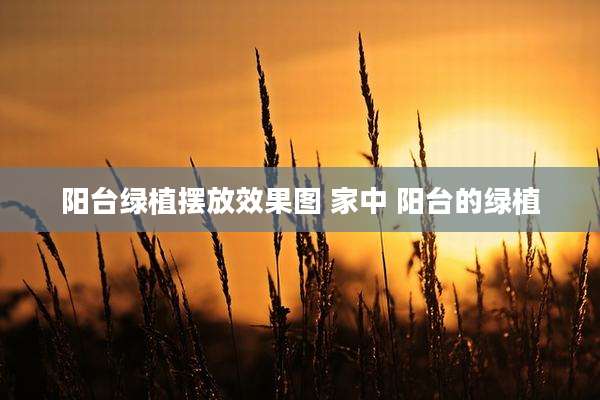 阳台绿植摆放效果图 家中 阳台的绿植