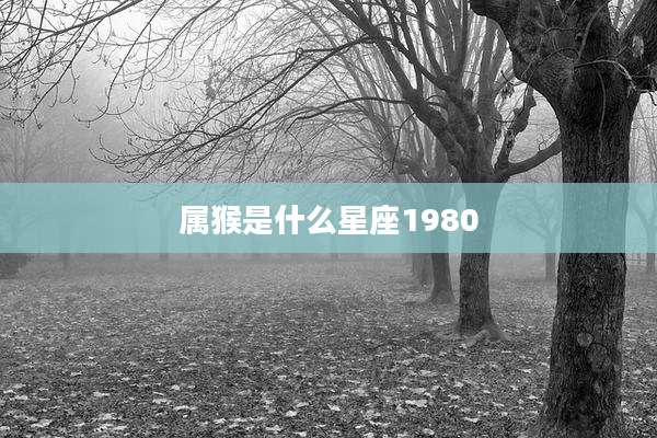 属猴是什么星座1980