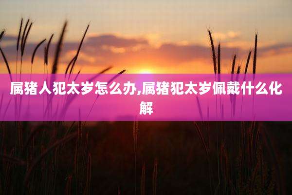 属猪人犯太岁怎么办,属猪犯太岁佩戴什么化解