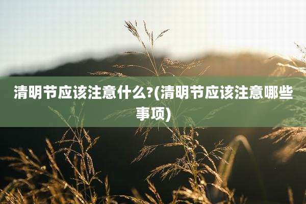 清明节应该注意什么?(清明节应该注意哪些事项)