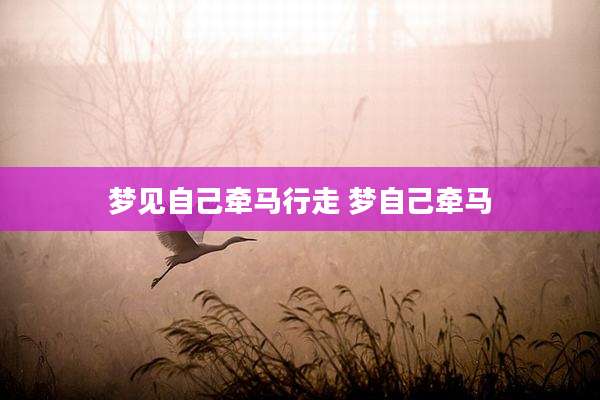 梦见自己牵马行走 梦自己牵马