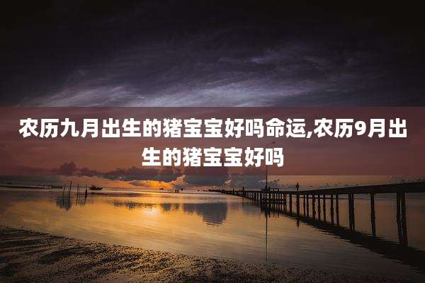 农历九月出生的猪宝宝好吗命运,农历9月出生的猪宝宝好吗
