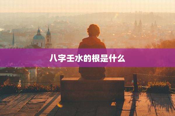 八字壬水的根是什么