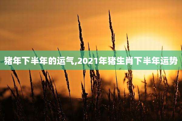 猪年下半年的运气,2021年猪生肖下半年运势