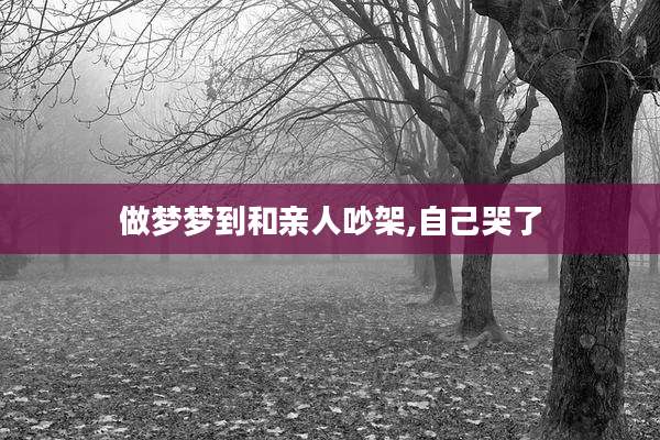做梦梦到和亲人吵架,自己哭了