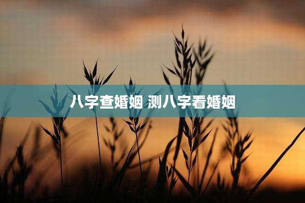 八字查婚姻 测八字看婚姻