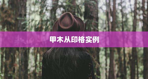 甲木从印格实例
