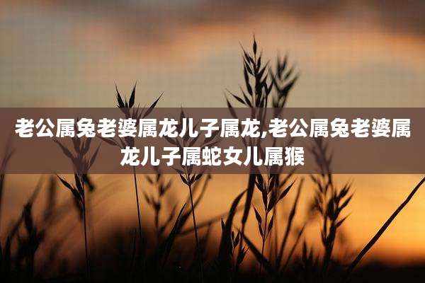 老公属兔老婆属龙儿子属龙,老公属兔老婆属龙儿子属蛇女儿属猴