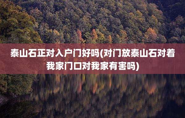 泰山石正对入户门好吗(对门放泰山石对着我家门口对我家有害吗)