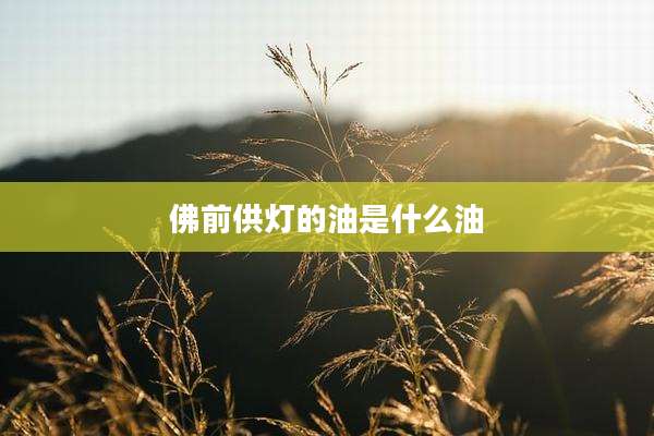 佛前供灯的油是什么油
