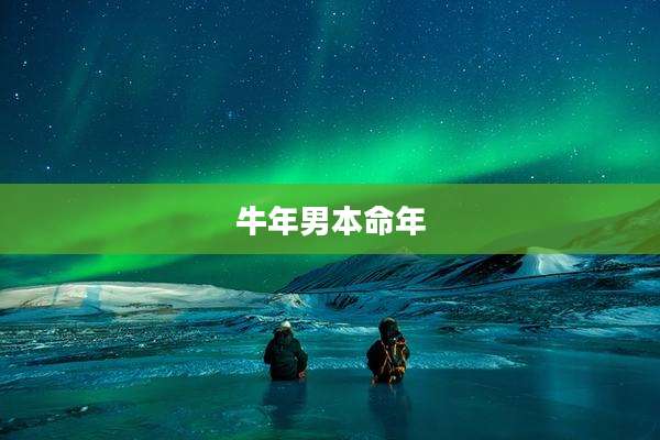 牛年男本命年