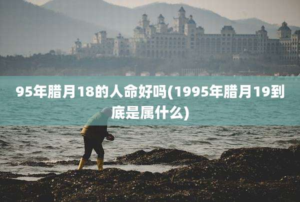 95年腊月18的人命好吗(1995年腊月19到底是属什么)