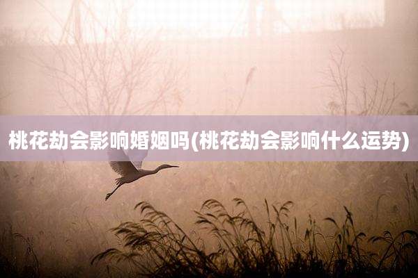 桃花劫会影响婚姻吗(桃花劫会影响什么运势)