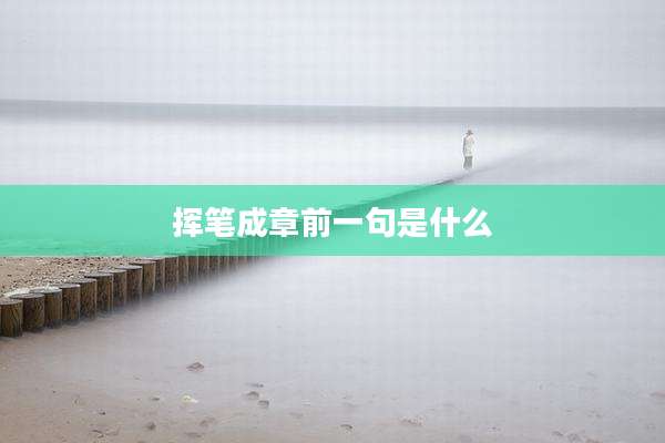 挥笔成章前一句是什么