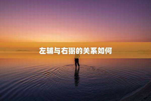 左辅与右弼的关系如何