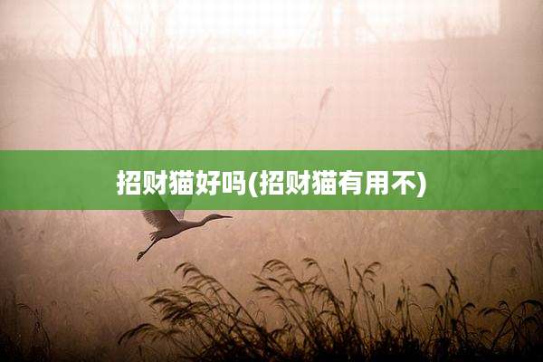 招财猫好吗(招财猫有用不)