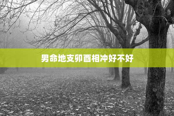 男命地支卯酉相冲好不好