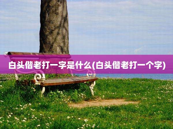 白头偕老打一字是什么(白头偕老打一个字)