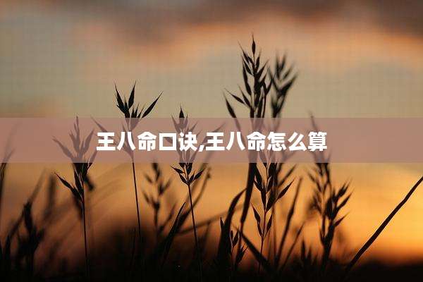 王八命口诀,王八命怎么算