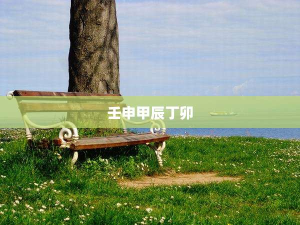 壬申甲辰丁卯