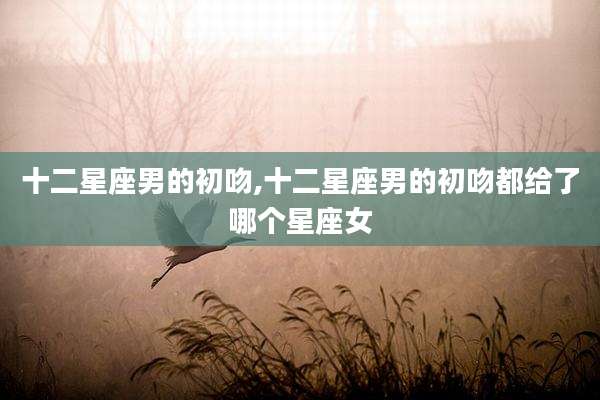 十二星座男的初吻,十二星座男的初吻都给了哪个星座女