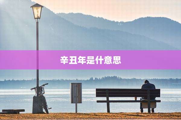 辛丑年是什意思