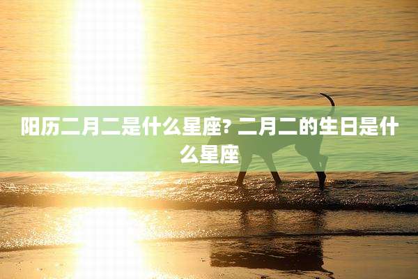 阳历二月二是什么星座? 二月二的生日是什么星座