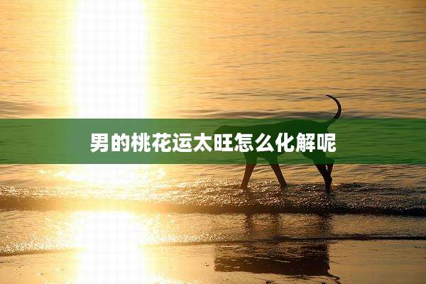 男的桃花运太旺怎么化解呢