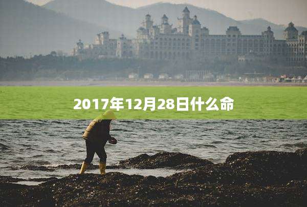 2017年12月28日什么命