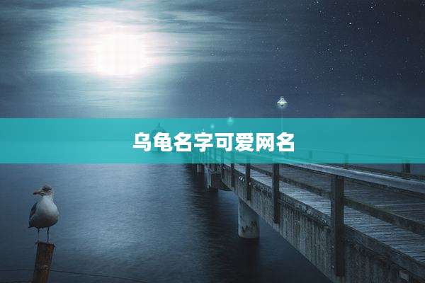 乌龟名字可爱网名