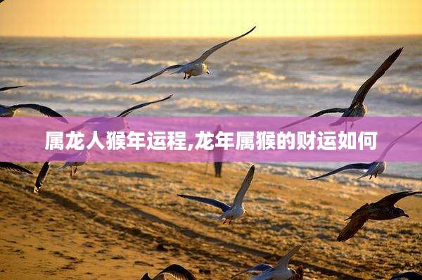 属龙人猴年运程,龙年属猴的财运如何