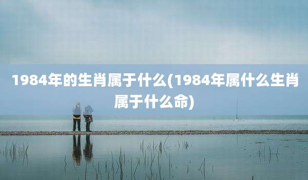 1984年的生肖属于什么(1984年属什么生肖属于什么命)