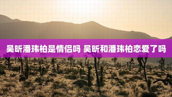 吴昕潘玮柏是情侣吗 吴昕和潘玮柏恋爱了吗