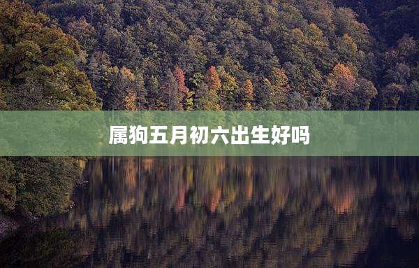 属狗五月初六出生好吗
