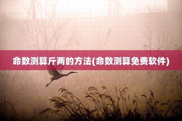 命数测算斤两的方法(命数测算免费软件)