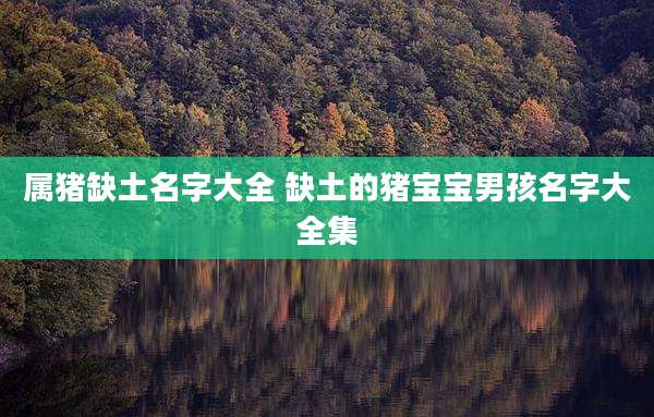 属猪缺土名字大全 缺土的猪宝宝男孩名字大全集