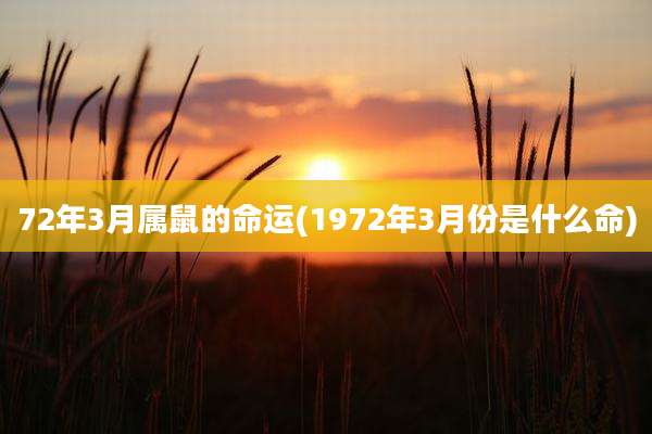 72年3月属鼠的命运(1972年3月份是什么命)