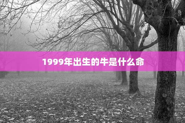 1999年出生的牛是什么命