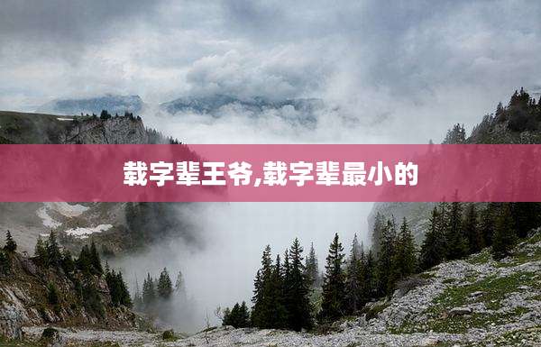 载字辈王爷,载字辈最小的