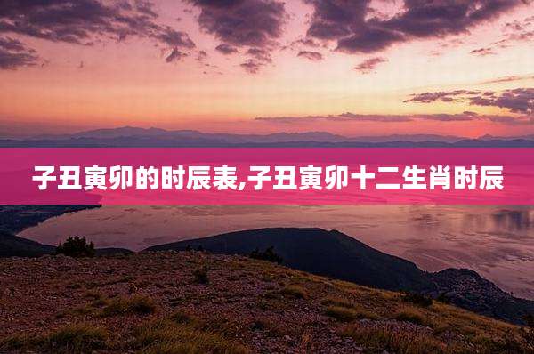 子丑寅卯的时辰表,子丑寅卯十二生肖时辰
