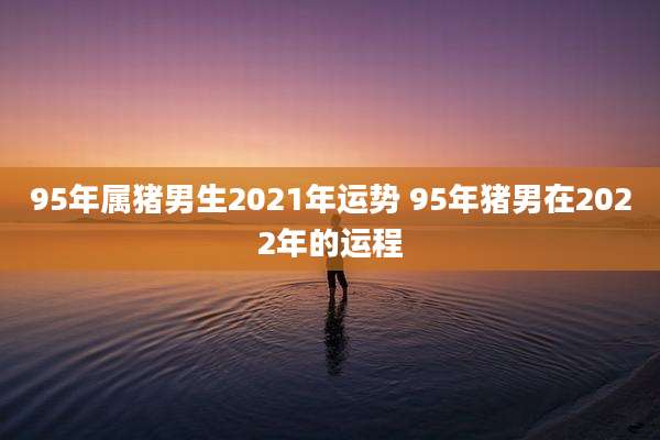 95年属猪男生2021年运势 95年猪男在2022年的运程