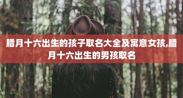 腊月十六出生的孩子取名大全及寓意女孩,腊月十六出生的男孩取名