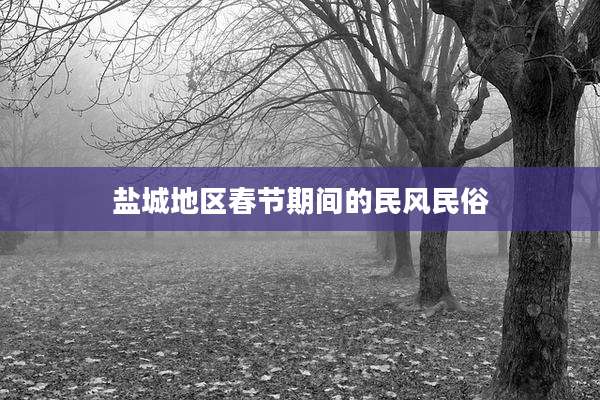 盐城地区春节期间的民风民俗