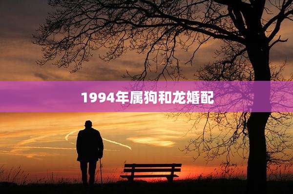 1994年属狗和龙婚配